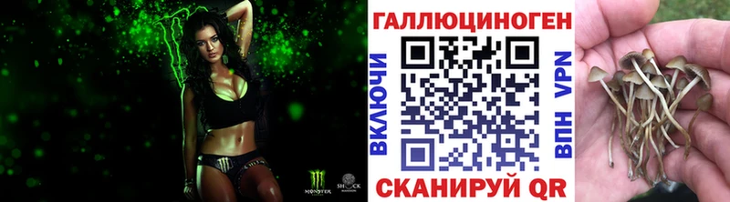Галлюциногенные грибы прущие грибы где купить наркоту Североуральск